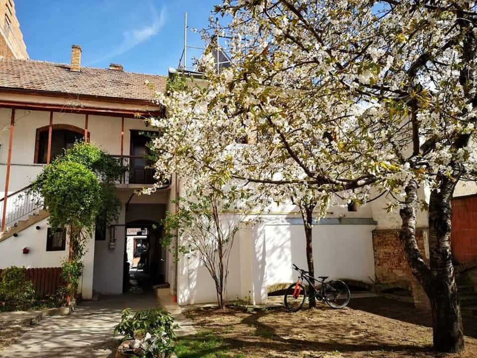 Casa Miron 1 Apartment Timisoara Luaran gambar